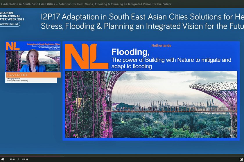 Promising Nature-Based Solutions for Asian Coastal Cities